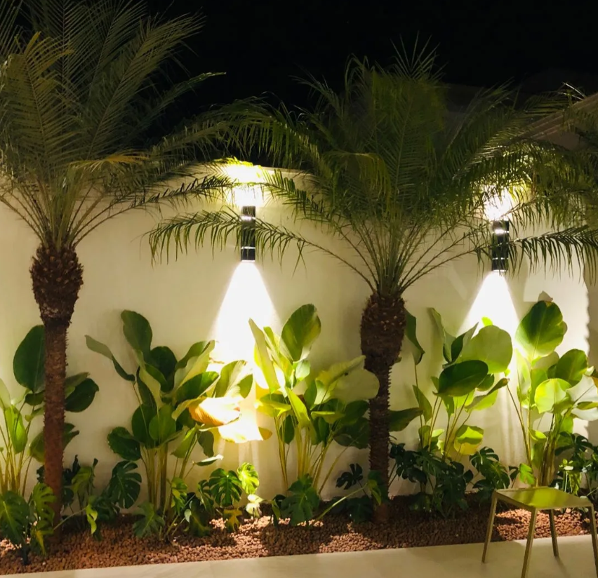 Jardim tropical iluminado à noite